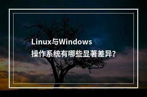 Linux与Windows操作系统有哪些显著差异?