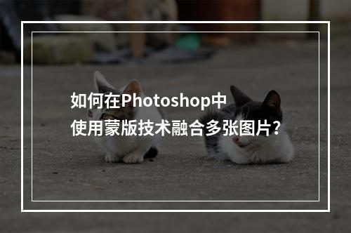 如何在Photoshop中使用蒙版技术融合多张图片?