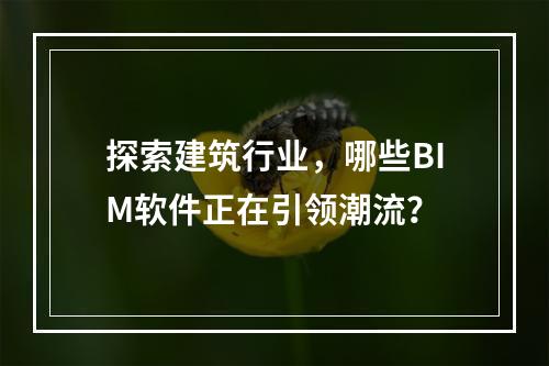 探索建筑行业,哪些BIM软件正在引领潮流?