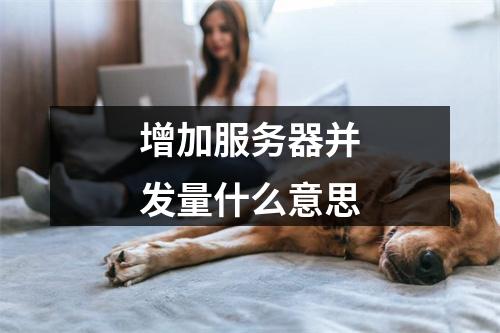 增加服务器并发量什么意思