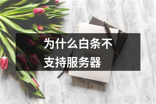 为什么白条不支持服务器