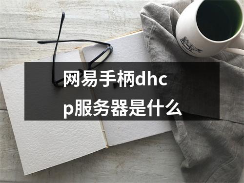 网易手柄dhcp服务器是什么