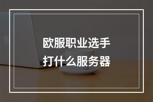 欧服职业选手打什么服务器