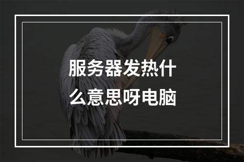 服务器发热什么意思呀电脑
