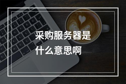 采购服务器是什么意思啊