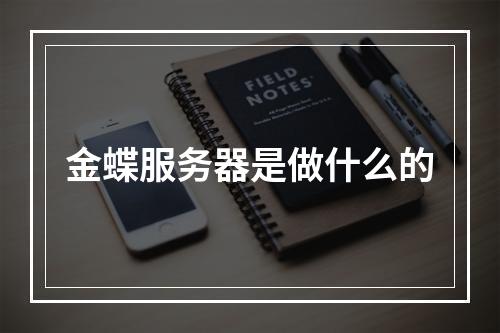 金蝶服务器是做什么的
