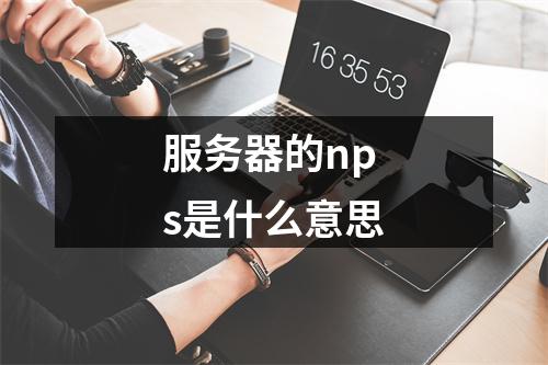 服务器的nps是什么意思