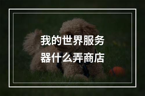 我的世界服务器什么弄商店