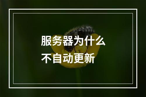 服务器为什么不自动更新