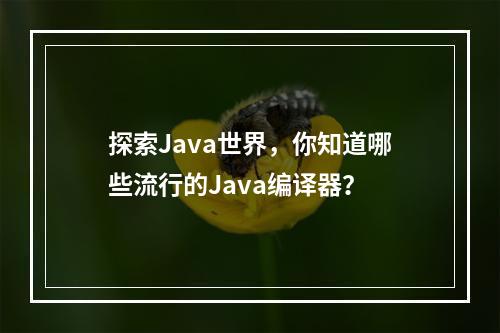 探索Java世界,你知道哪些流行的Java编译器?