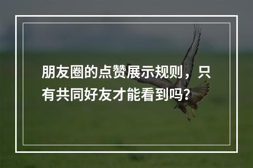朋友圈的点赞展示规则,只有共同好友才能看到吗?