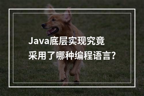 Java底层实现究竟采用了哪种编程语言?