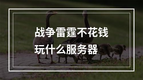 战争雷霆不花钱玩什么服务器