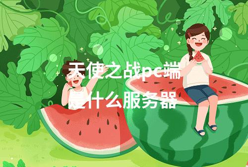 天使之战pc端是什么服务器
