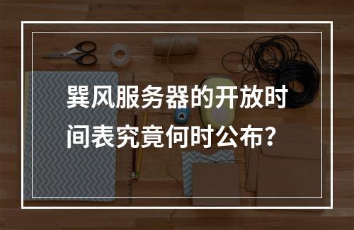 巽风服务器的开放时间表究竟何时公布?