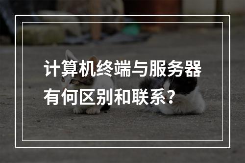 计算机终端与服务器有何区别和联系?