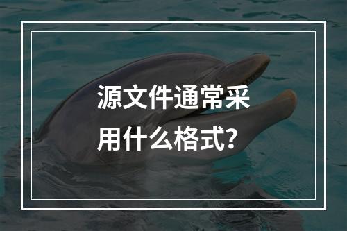 源文件通常采用什么格式?