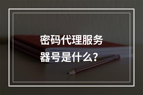 密码代理服务器号是什么?