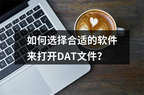 如何选择合适的软件来打开DAT文件?