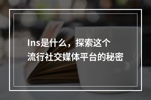 Ins是什么,探索这个流行社交媒体平台的秘密