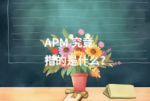 APM 究竟指的是什么?