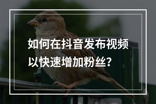 如何在抖音发布视频以快速增加粉丝?