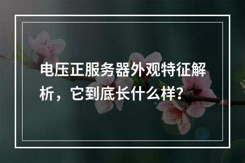 电压正服务器外观特征解析,它到底长什么样?
