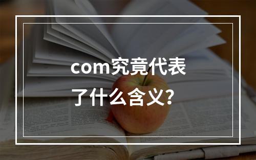 com究竟代表了什么含义?