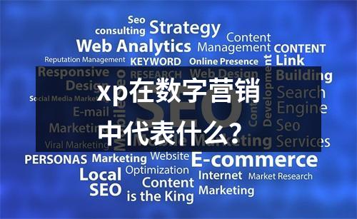 xp在数字营销中代表什么?