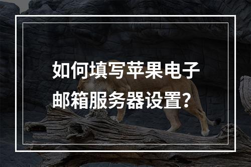 如何填写苹果电子邮箱服务器设置?