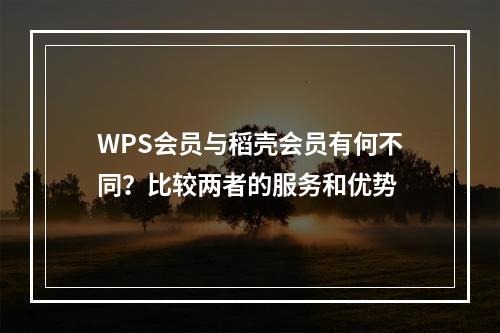 WPS会员与稻壳会员有何不同?比较两者的服务和优势