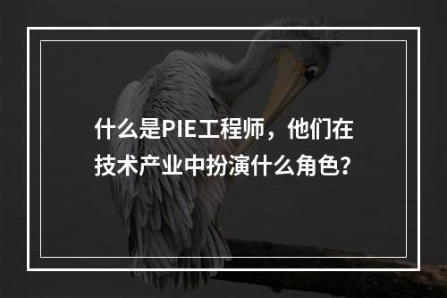 什么是PIE工程师,他们在技术产业中扮演什么角色?