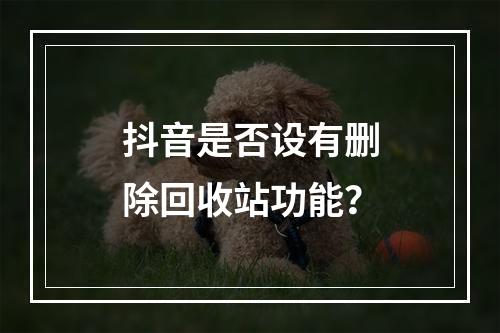 抖音是否设有删除回收站功能?