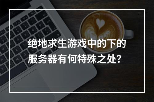 绝地求生游戏中的下的服务器有何特殊之处?