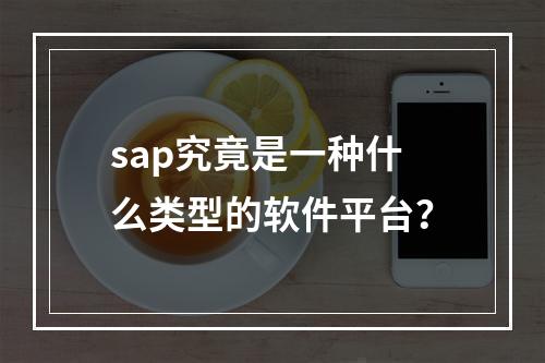 sap究竟是一种什么类型的软件平台?