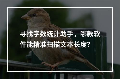 寻找字数统计助手,哪款软件能精准扫描文本长度?