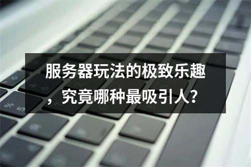 服务器玩法的极致乐趣,究竟哪种最吸引人?