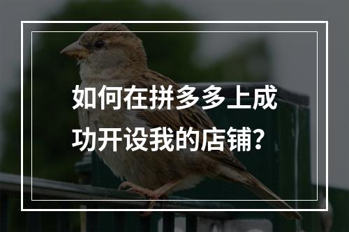 如何在拼多多上成功开设我的店铺?
