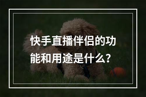 快手直播伴侣的功能和用途是什么?