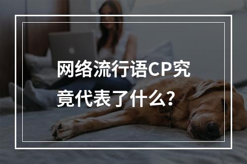 网络流行语CP究竟代表了什么?