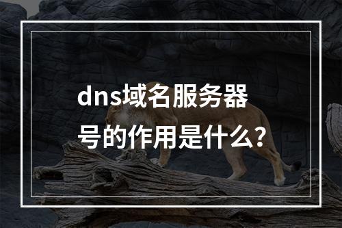 dns域名服务器号的作用是什么?