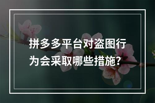 拼多多平台对盗图行为会采取哪些措施?