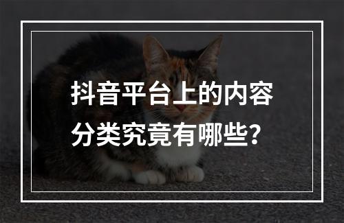抖音平台上的内容分类究竟有哪些?
