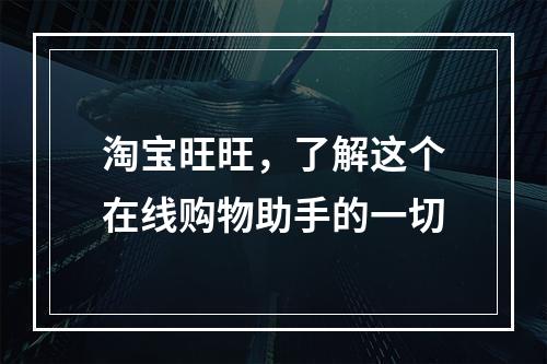 淘宝旺旺,了解这个在线购物助手的一切