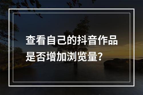 查看自己的抖音作品是否增加浏览量?