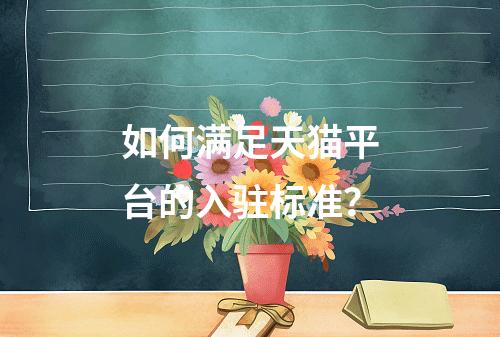 如何满足天猫平台的入驻标准?