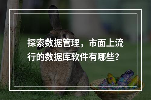 探索数据管理,市面上流行的数据库软件有哪些?