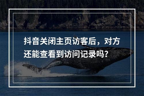 抖音关闭主页访客后,对方还能查看到访问记录吗?