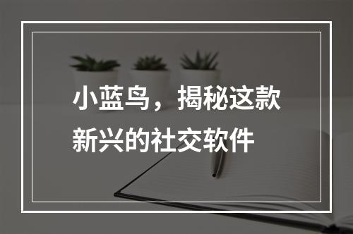 小蓝鸟,揭秘这款新兴的社交软件