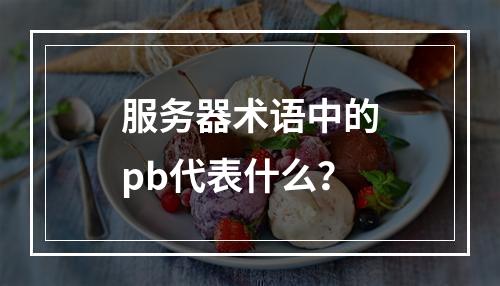 服务器术语中的pb代表什么?